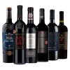 Degustační sada vín - Primitivo BASIC, 6x0,75l