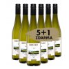 Herbstlicht Riesling 5 1 new