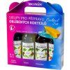 monin cocktail box 4x250ml