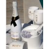 Moët & Chandon ICE Imperial Bazénový Set Limitovaná Edice (1ks)1