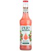 PURE by MONIN Červené plody, 0,7l