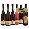 mix tanzberg 5ks nikolsburk chardonnay zdarma 6x0 75l