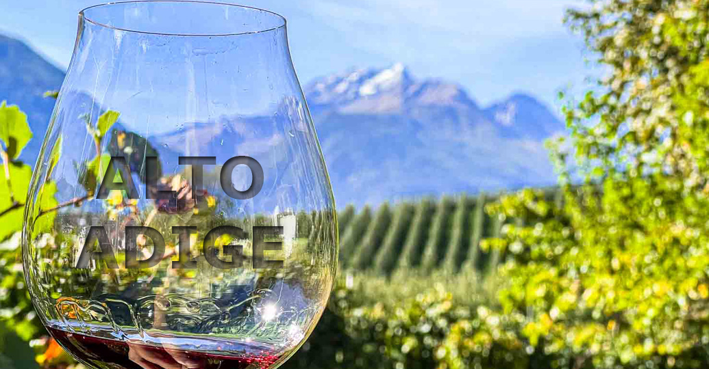 Místo, kde víno potkává hory