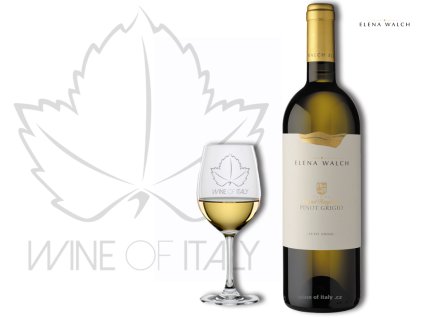 Pinot Grigio Castel Rinberg Alto Adige DOC