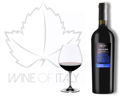 Lacrima di Morro d‘Alba DOC Velenosi Vini - wineofitaly.cz