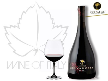 SELVAROSSA TERRA SALICE SALENTINO RED RESERVE 2010 Due Palme