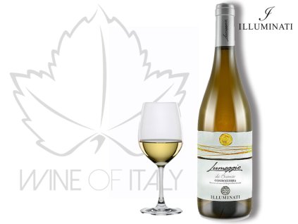 LUMEGGIO Controguerra Bianco DOC Illuminati vini