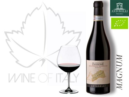 Montefalco Sagrantino Chiusa di Pannone DOCG Magnum Antonelli San Marco