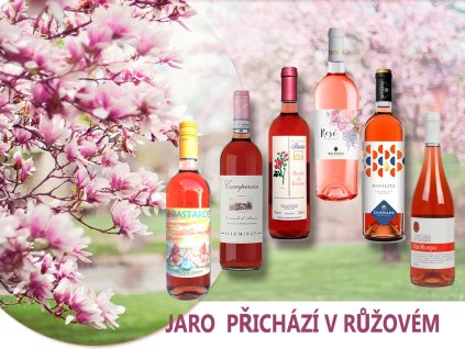 degustační bedýnka vynikajících růžových vín