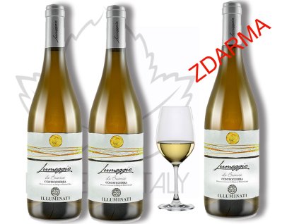LUMEGGIO Controguerra Bianco DOC 2+1