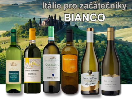 degustační bedýnka italských bílých vín 25