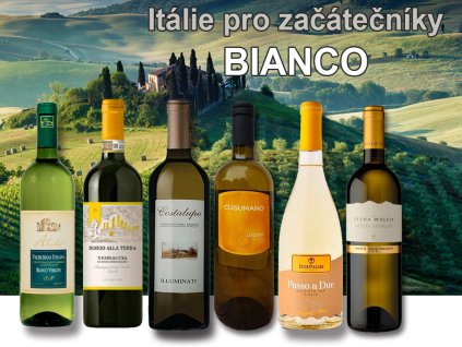 degustační bedýnka italských bílých vín