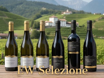 Elena Walch Selezione degustační bedýnka Alto Adige