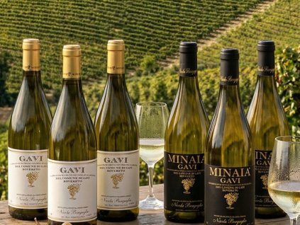 degustační bedýnka Gavi di Gavi