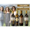 Tramín z Tramínu Elena Walch Alto Adige