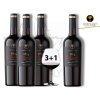 Primitivo Salento ETTAMIANO IGP Cantine Due Palme AKCE 3+1 ZDARMA