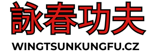 WING TSUN KUNG FU RAKOVNÍK