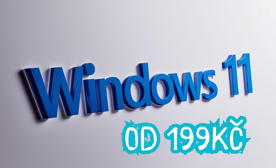 Windows 11