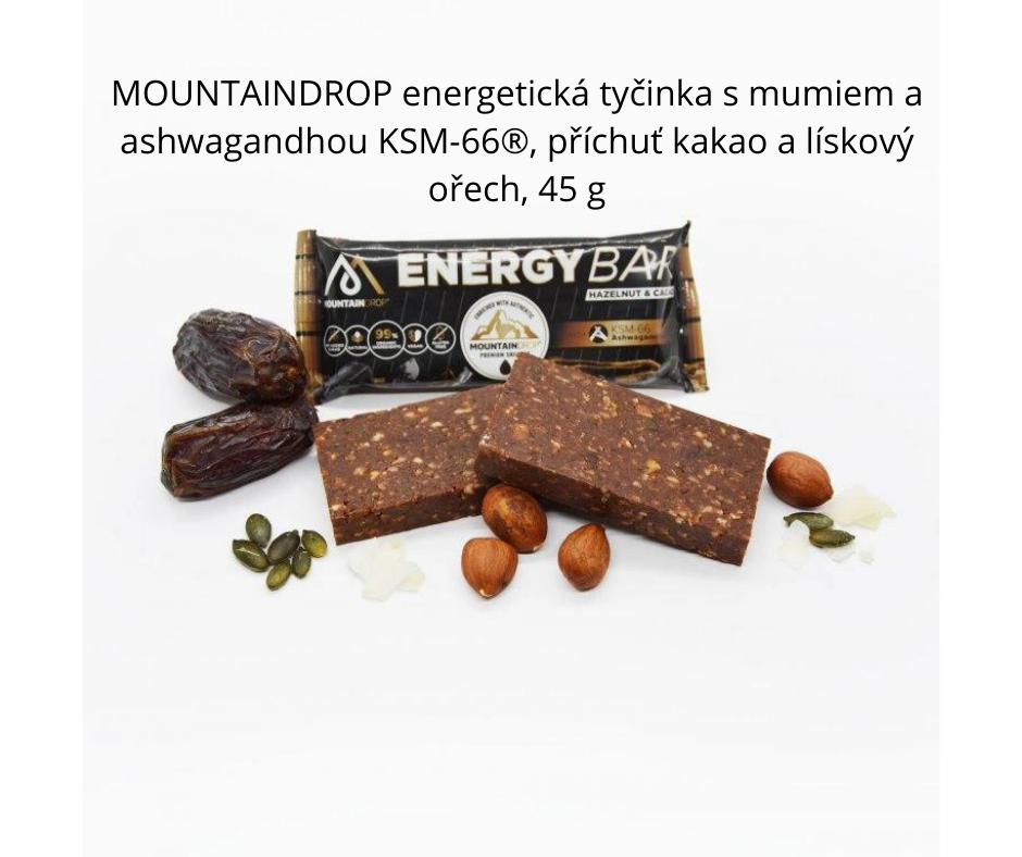 Mořské řasy