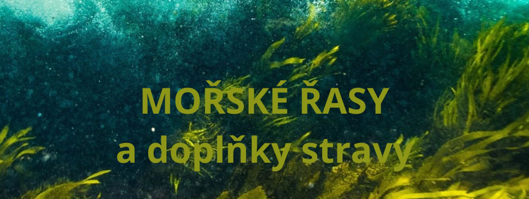 Mořské řasy a doplňky stravy