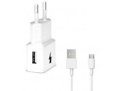 USB Fast Charger 2,1A + MICRO-USB Cable (biały)