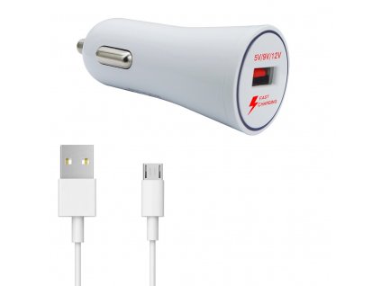 USB Charger 2,1A + MICRO-USB Cable (biały)