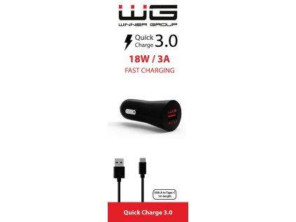 USB Fast Charger 2,4A + TYPE-C Cable