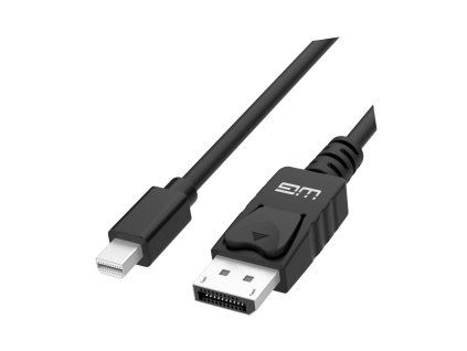 DisplayPort to Mini DisplayPort Cable - black