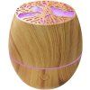 Diffuser and Lamp WG