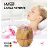 Diffuser and Lamp WG