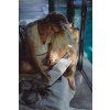 Mini LED Lamp - Night Reader - white