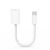 Adaptér USB-C (male) na Lightning (female) (Bílá)