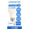 LED Bulb E27 12W (75W) - warm white