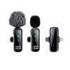 Wireless Microphone 2-in-1