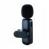 Wireless Microphone 2-in-1