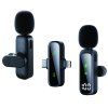 Wireless Microphone 2-in-1