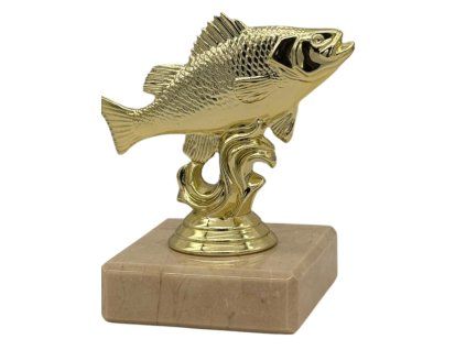 Photoroom 101 20260311 105211