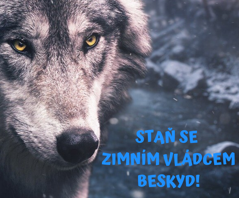 Staň se zimním vládcem Beskyd