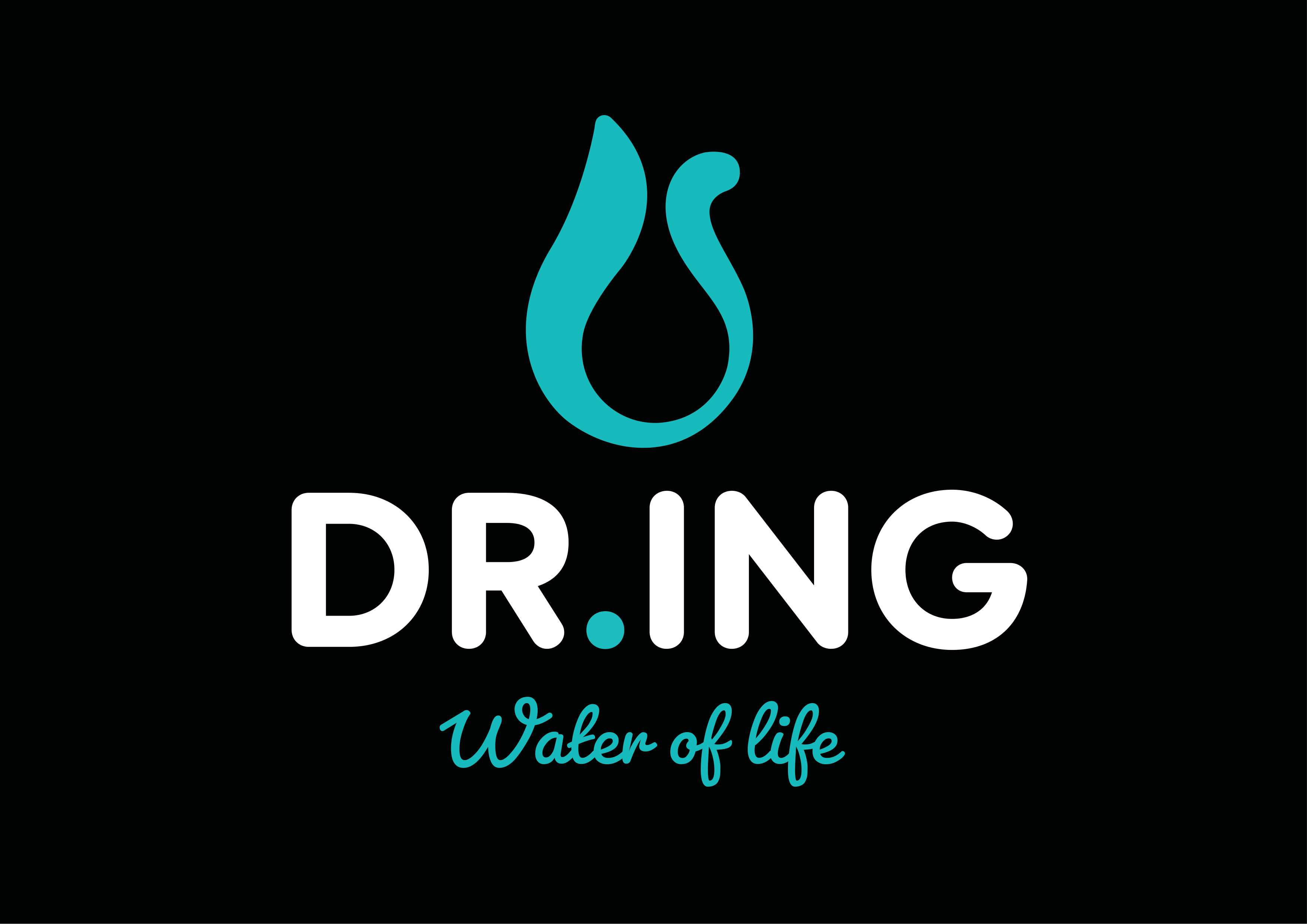 logo_dr_ing