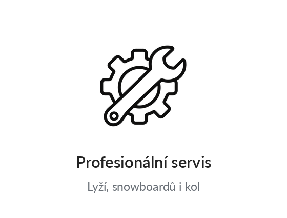 Profesionální servis