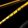 RASCAL 20" gold