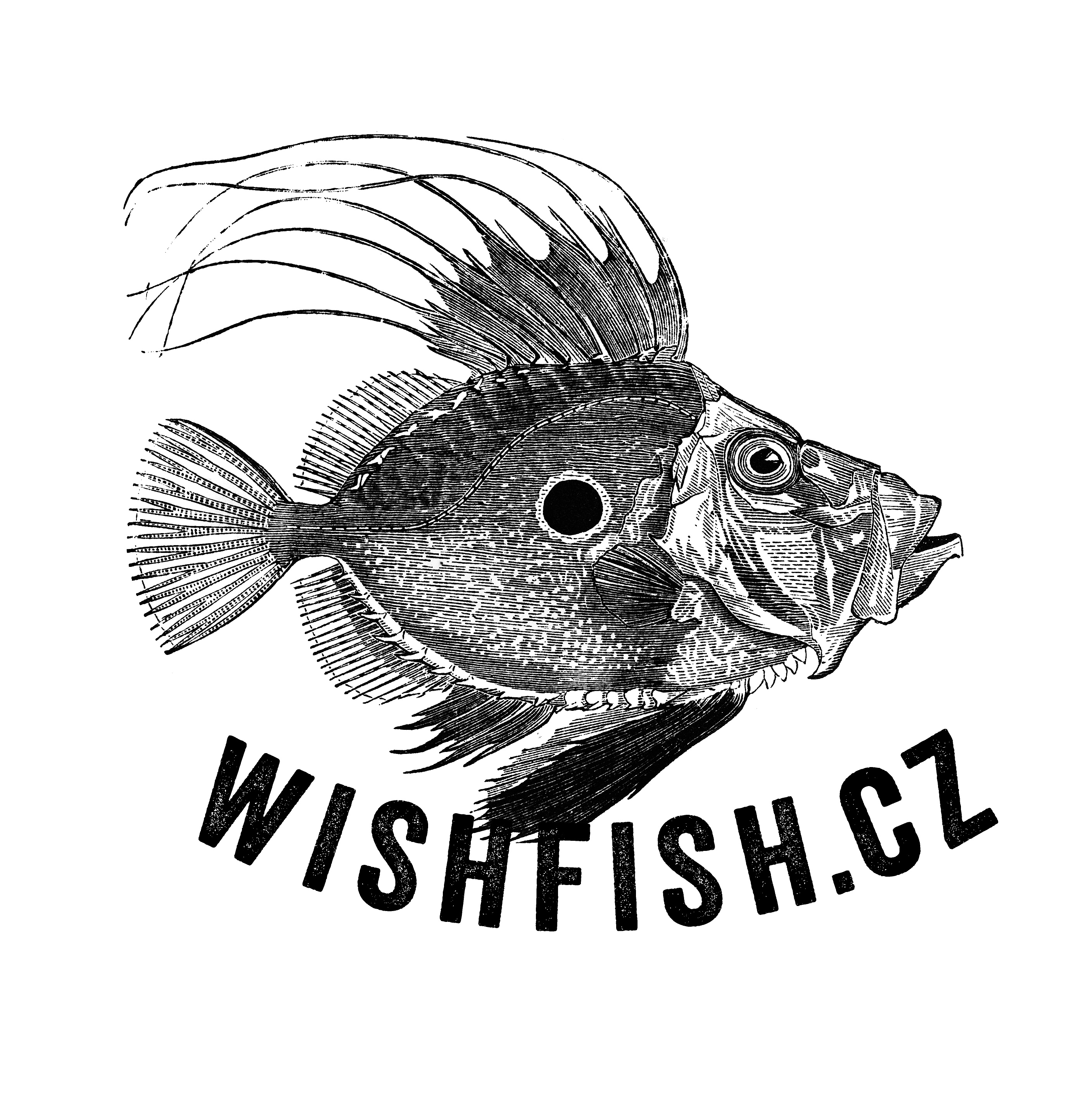 wishfish.cz