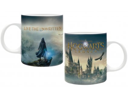 harry potter hrnek hogwarts legacy