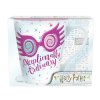 1harry potter mug 250 ml luna lovegood box x2