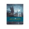 kniha hogwarts legacy book art