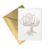 option 1 gallery 04 quidditch notecard scaled 1300x1300