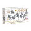 harry potter deskova hra Harry Potter Catch the Snitch National Quidditch Team 1