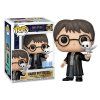 harry potter funko 197