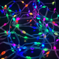 LED-string-ws2811