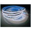 ws2814 cob 24V CW 010